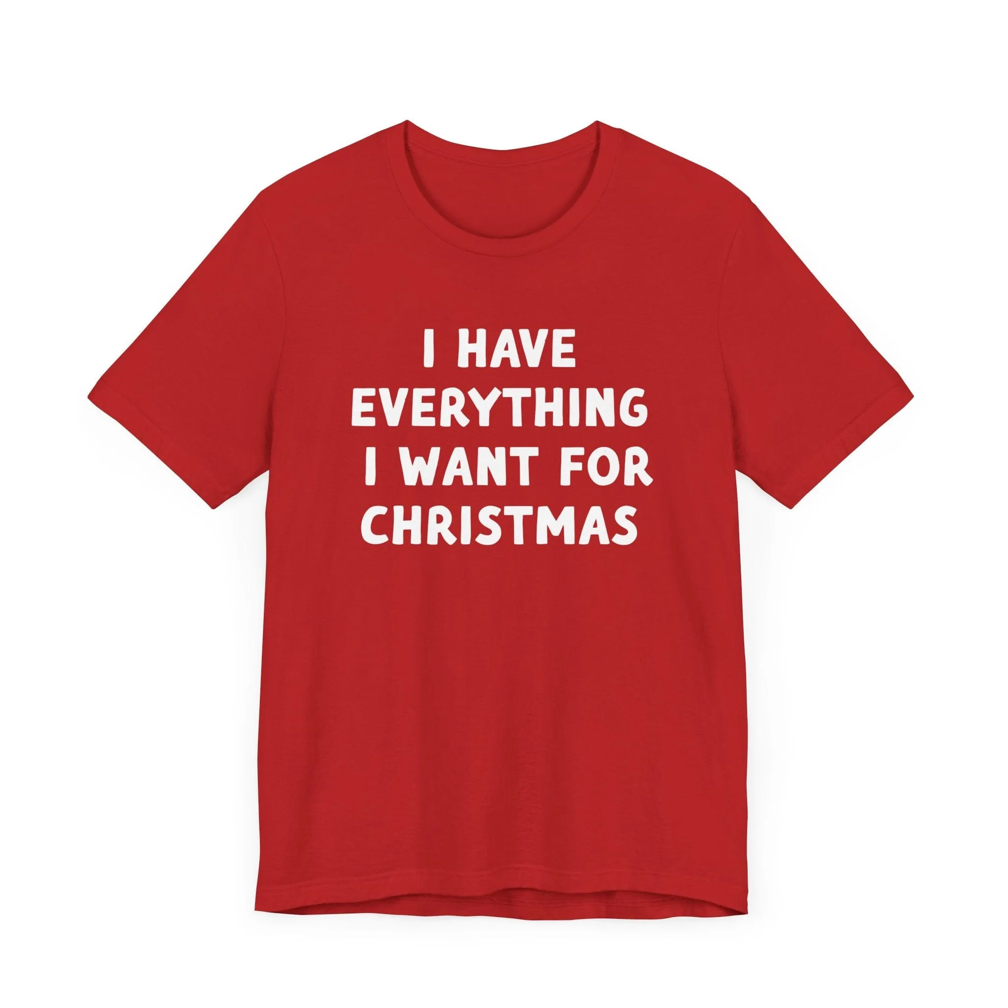 I Have Everything I want for Christmas Tee