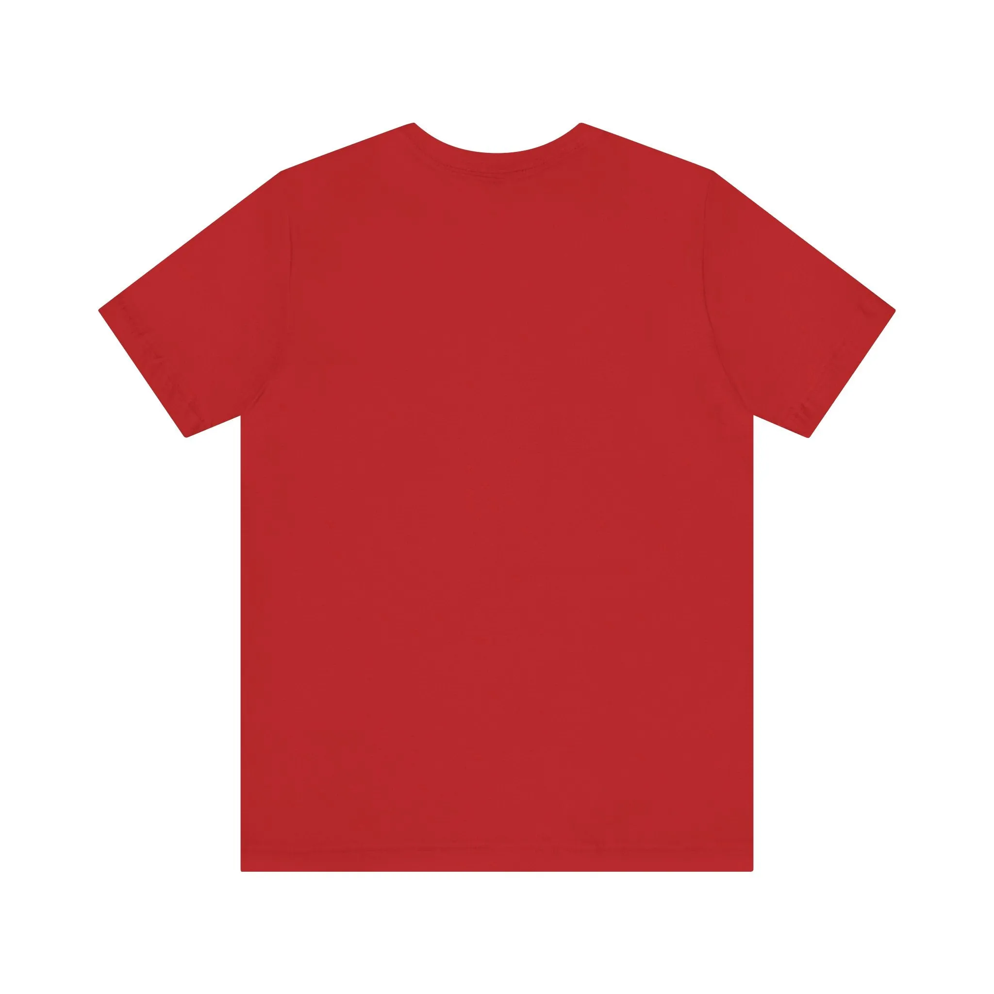 I Have Everything I want for Christmas Tee