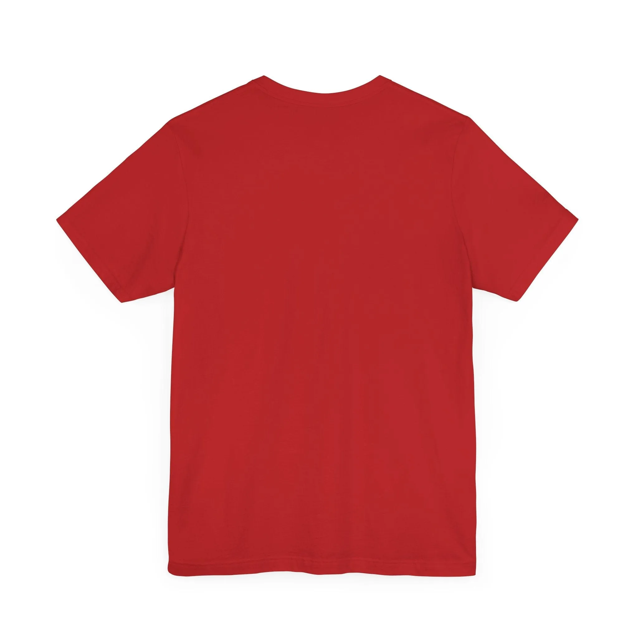I Have Everything I want for Christmas Tee