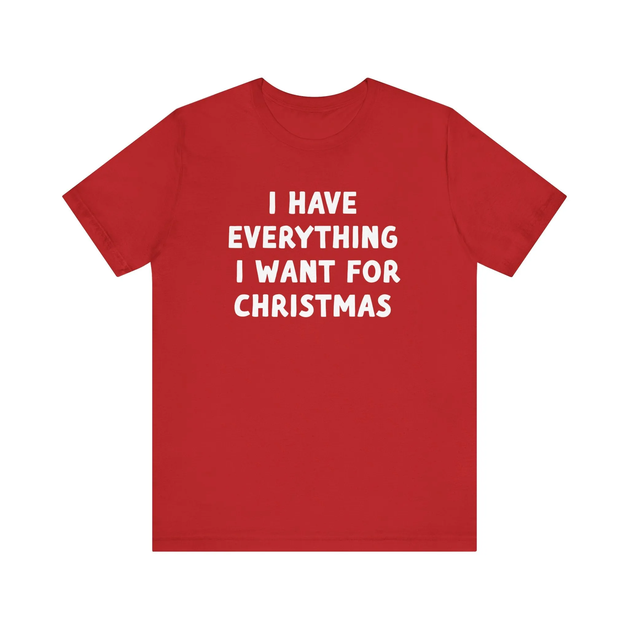 I Have Everything I want for Christmas Tee