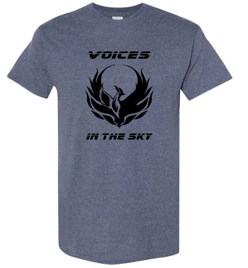 VOICES IN THE SKY