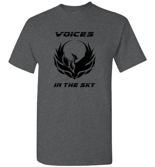 VOICES IN THE SKY