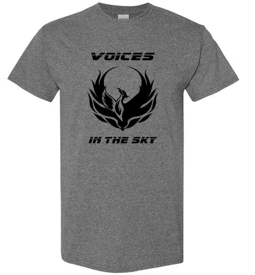 VOICES IN THE SKY