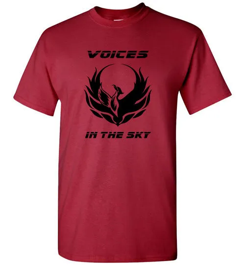 VOICES IN THE SKY