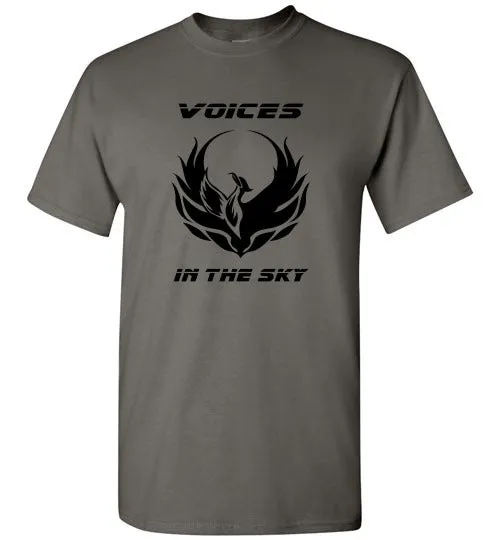 VOICES IN THE SKY