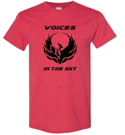 VOICES IN THE SKY
