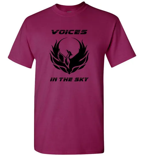 VOICES IN THE SKY