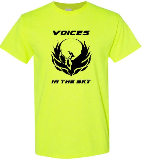 VOICES IN THE SKY