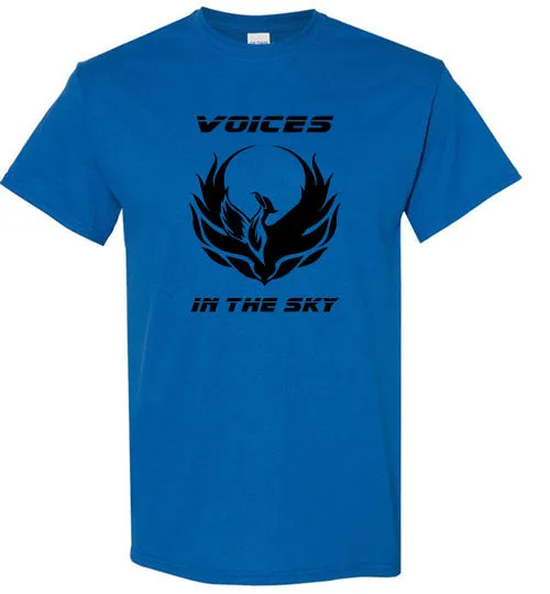 VOICES IN THE SKY