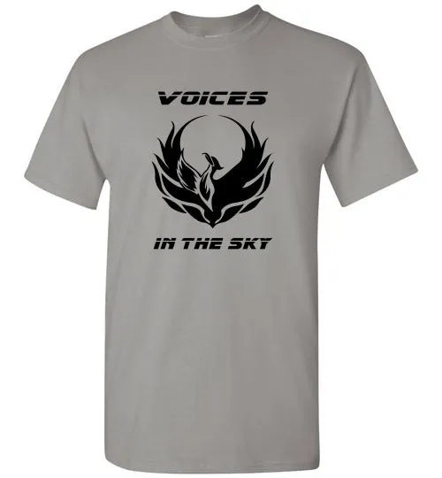 VOICES IN THE SKY
