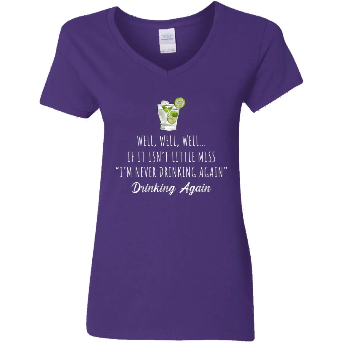 Well Well Well Drinking Again Ladies Tee